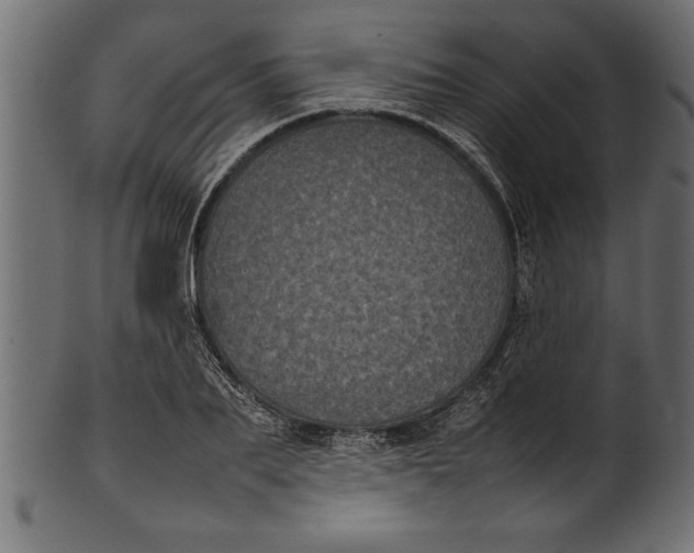 X0000101220887200807181549