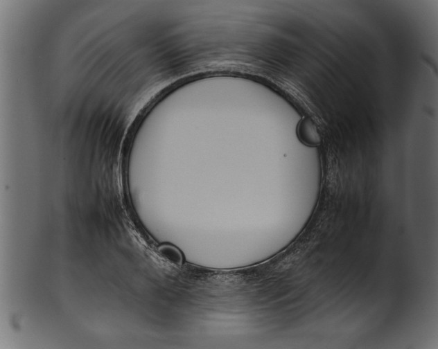 X0000101220888200807181549