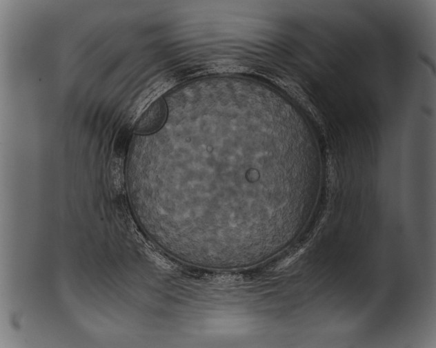 X0000101220889200807181549
