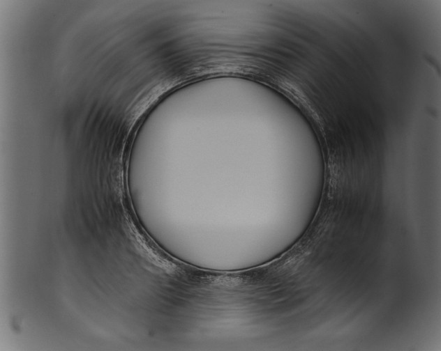 X0000101220890200807181549