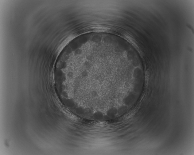 X0000101220891200807181549