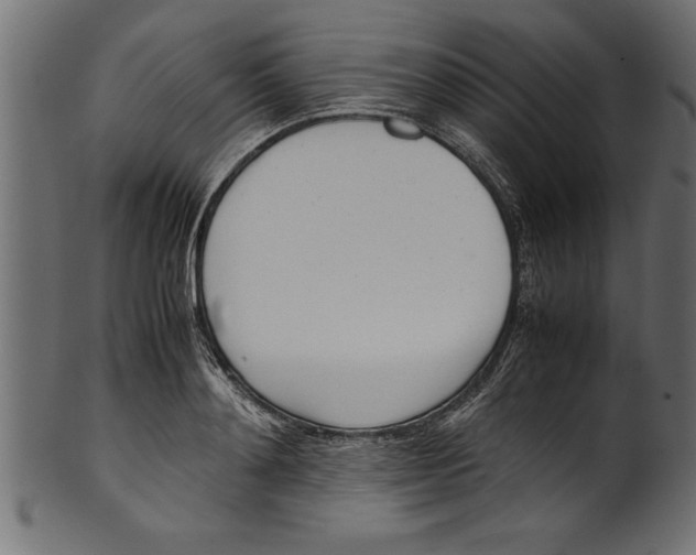 X0000101220892200807181549