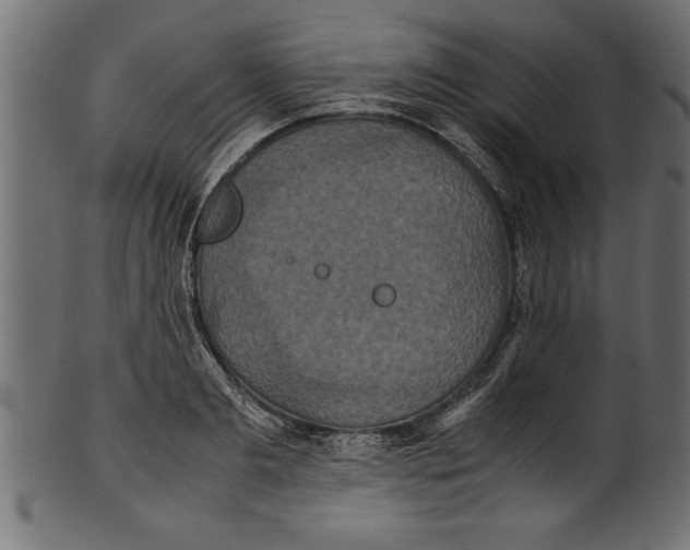 X0000101220893200807181549