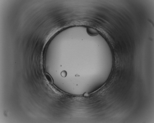 X0000101220894200807181549