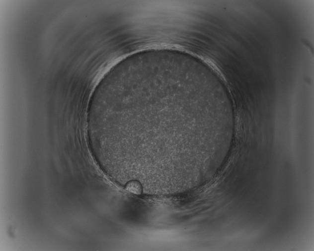 X0000101220895200807181549