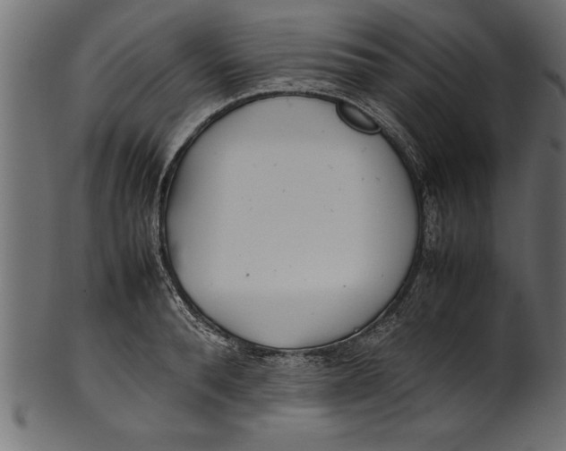 X0000101220896200807181549