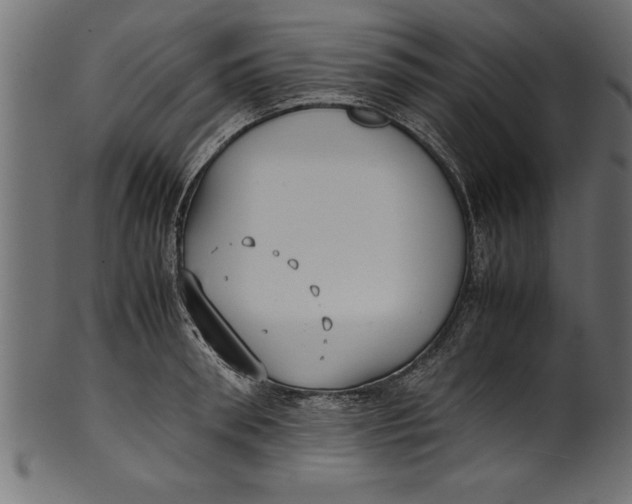 X0000101220898200807181549