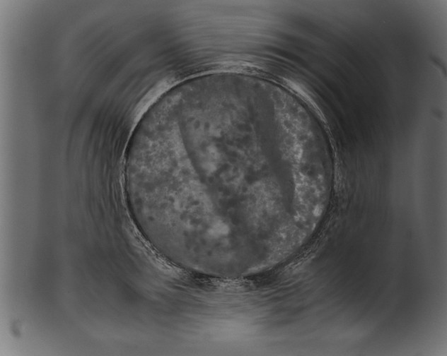 X0000101220899200807181549