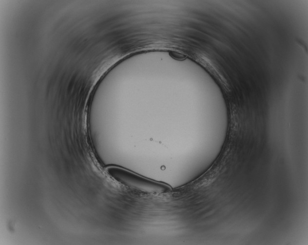 X0000101220900200807181549