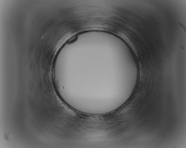 X0000101220901200807181549