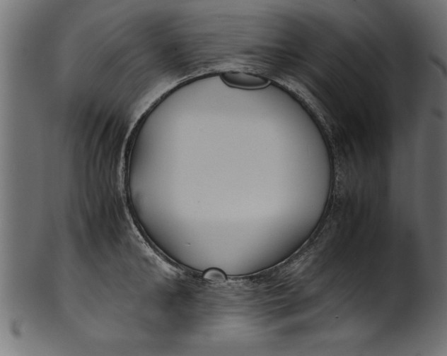 X0000101220902200807181549