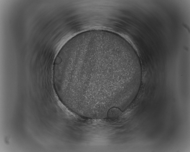 X0000101220903200807181549