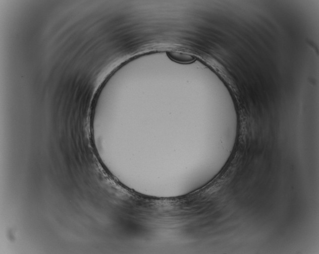 X0000101220904200807181549
