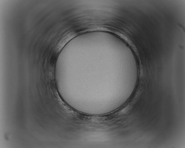 X0000101220905200807181549