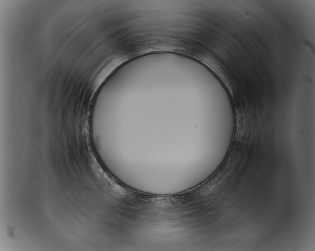 X0000101220906200807181549