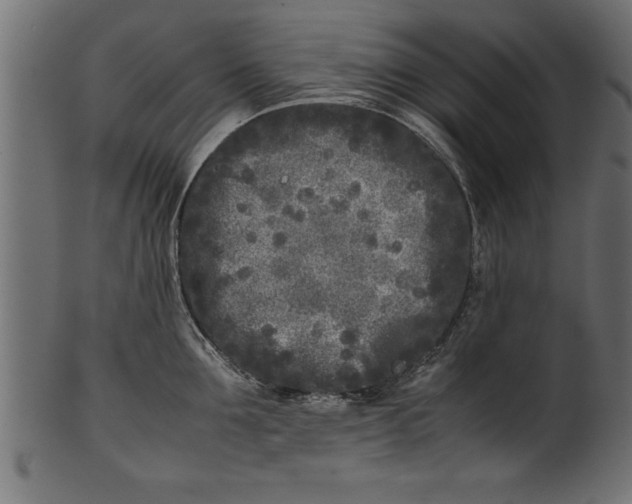 X0000101220907200807181549