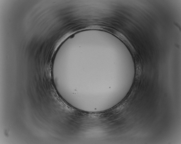 X0000101220908200807181549