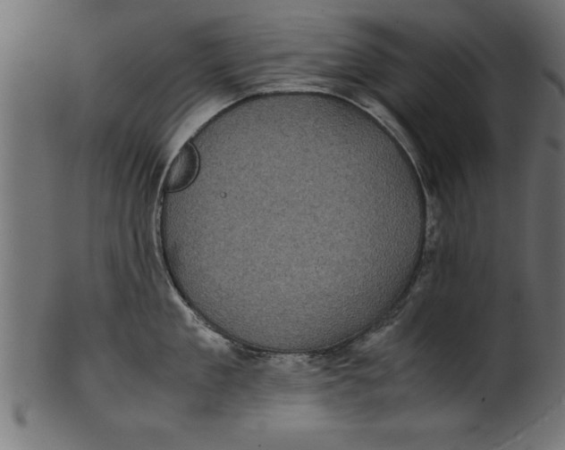 X0000101220909200807181549