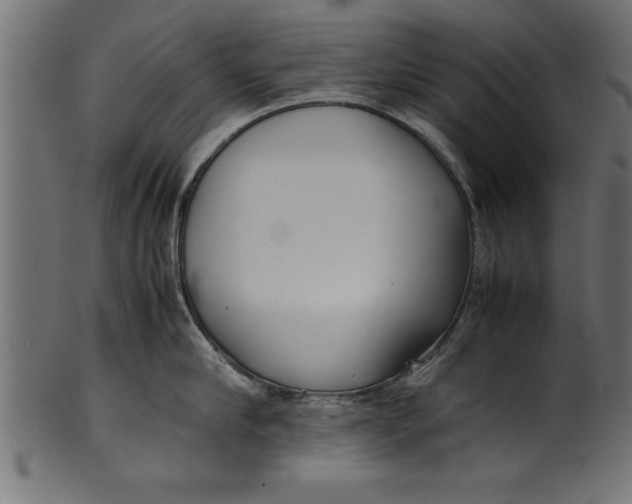 X0000101220910200807181549