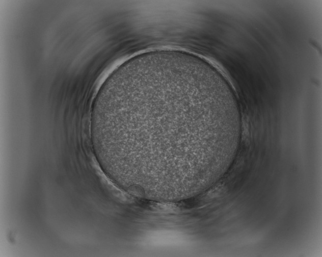 X0000101220911200807181549