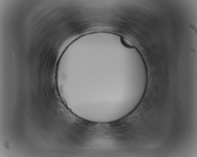 X0000101220912200807181549