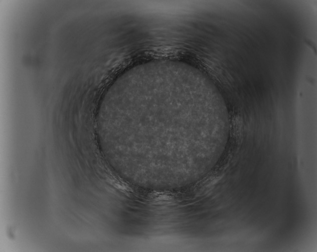 X0000101220913200807181548