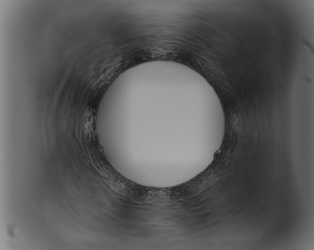 X0000101220914200807181548