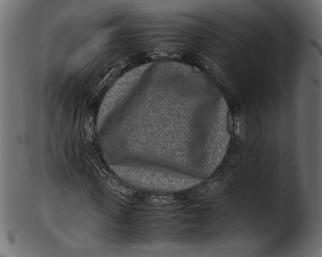 X0000101220915200807181548