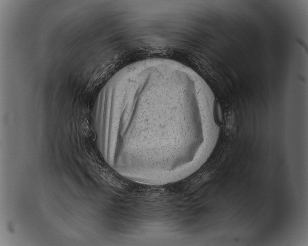 X0000101220916200807181548