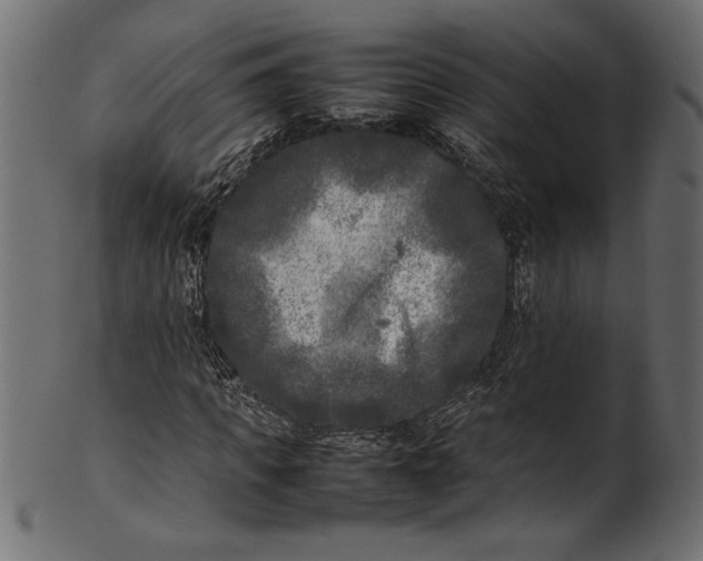 X0000101220917200807181548