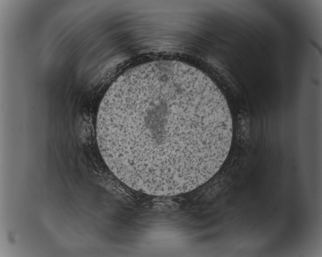 X0000101220918200807181548