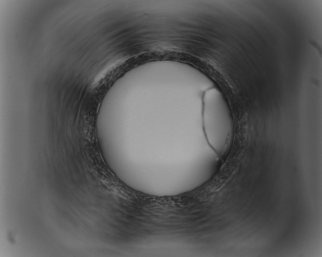X0000101220919200807181548
