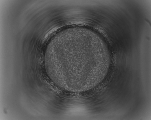 X0000101220920200807181548