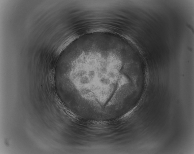 X0000101220921200807181548