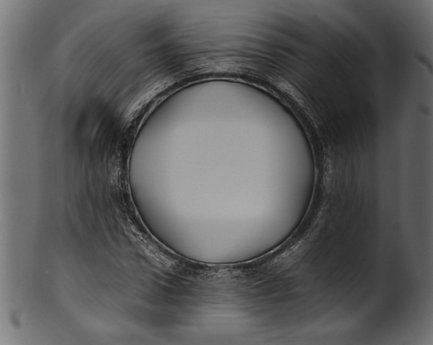 X0000101220922200807181548