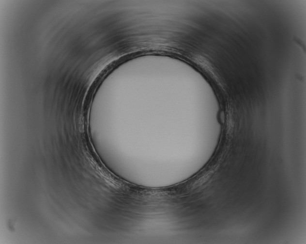 X0000101220924200807181548