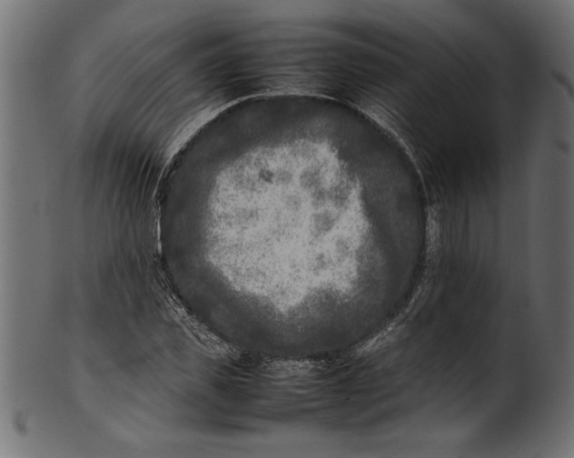 X0000101220925200807181548