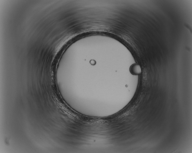 X0000101220926200807181548
