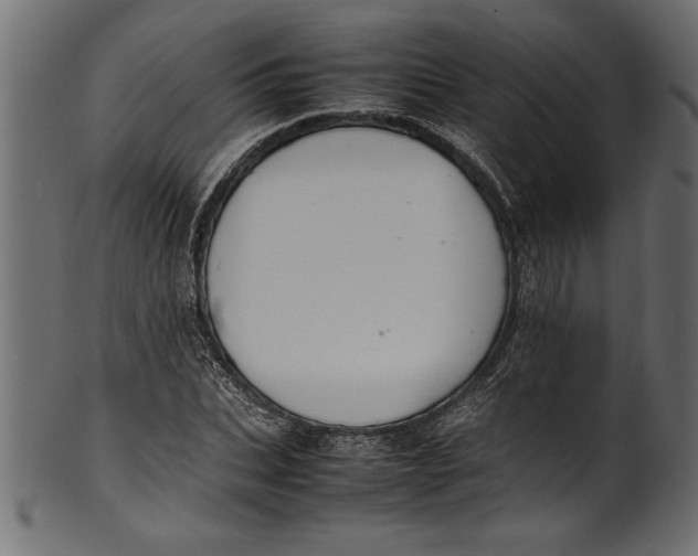 X0000101220927200807181548