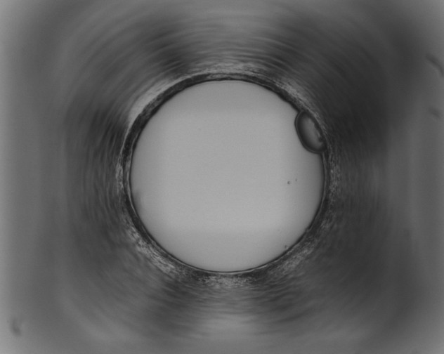 X0000101220928200807181548