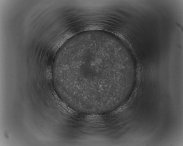 X0000101220929200807181548