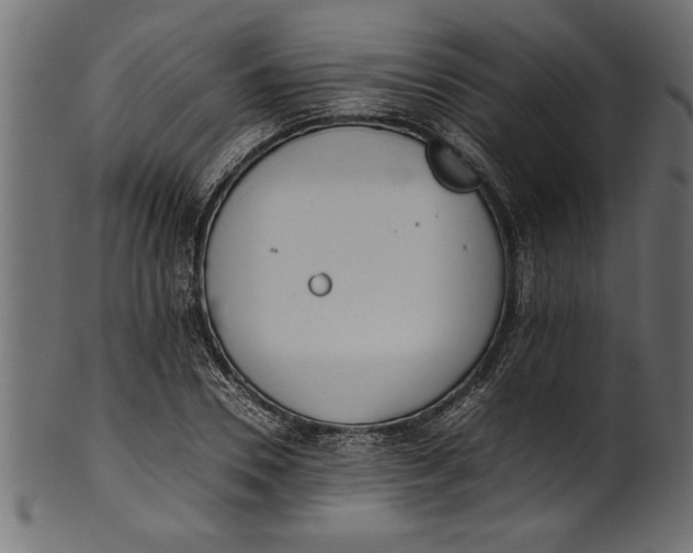 X0000101220930200807181548