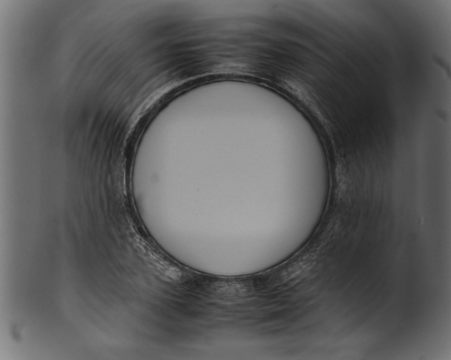 X0000101220931200807181548