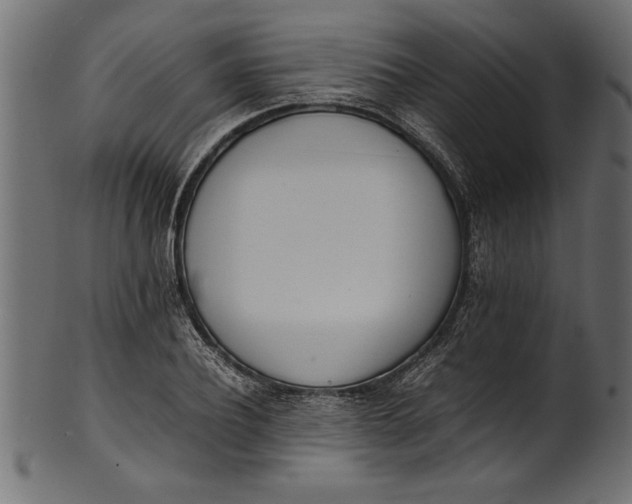 X0000101220932200807181548