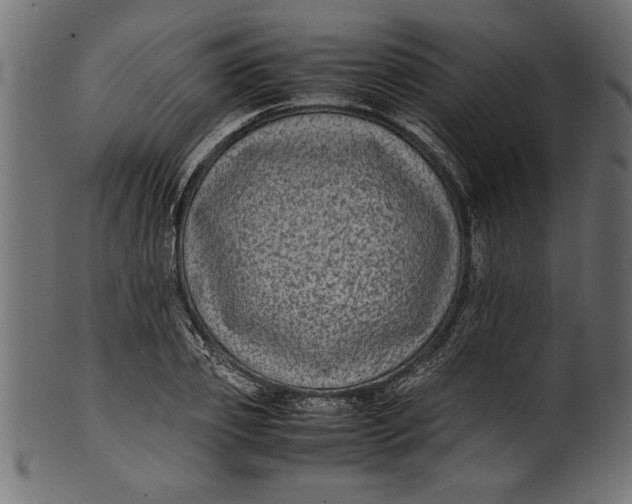 X0000101220933200807181548
