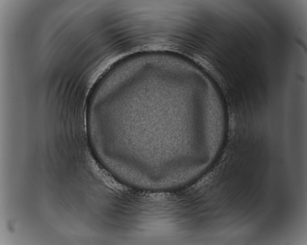 X0000101220934200807181548