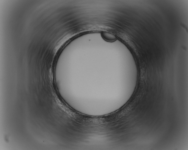 X0000101220936200807181548
