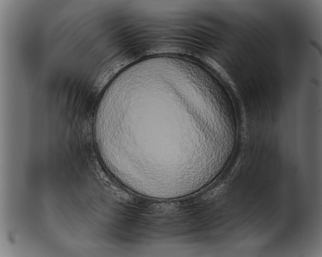 X0000101220937200807181548