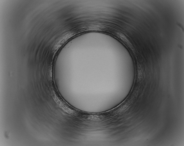 X0000101220938200807181548