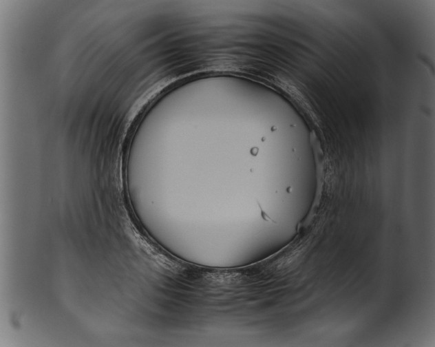 X0000101220939200807181549